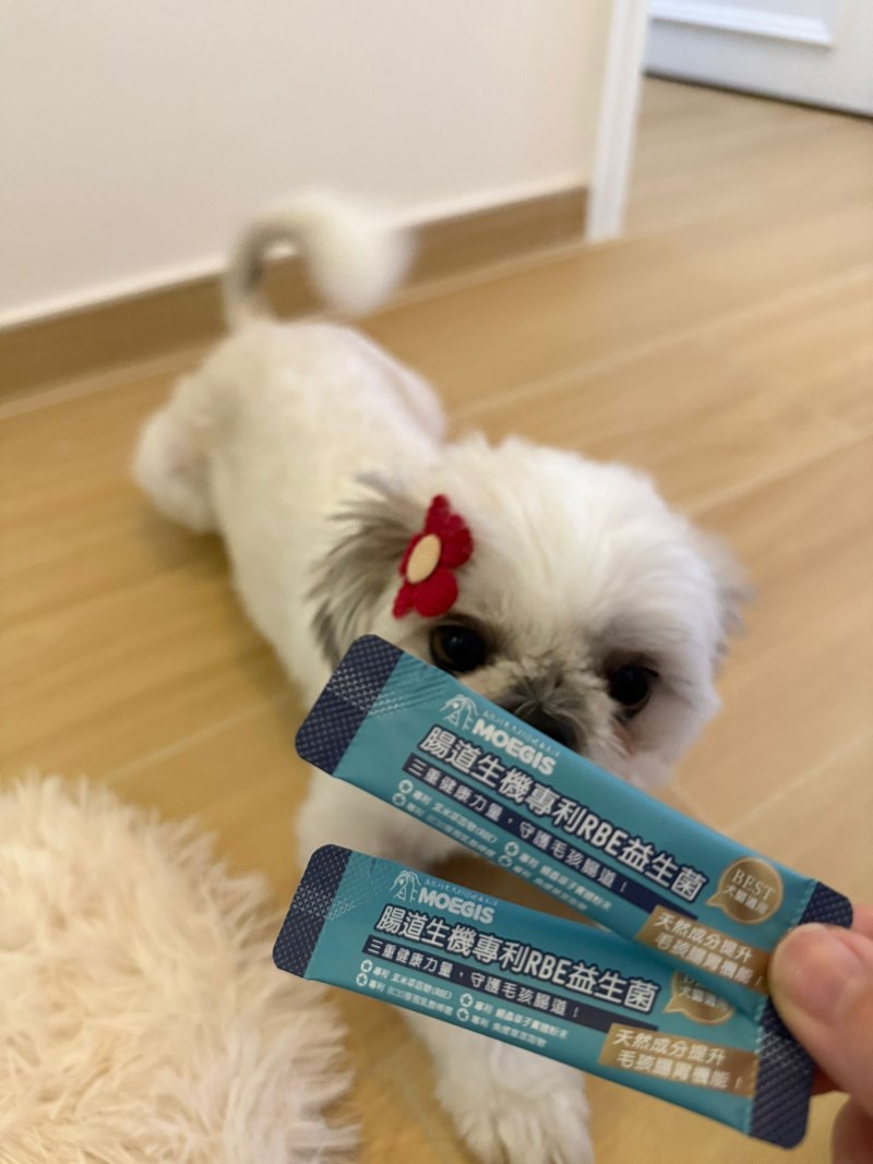 女人知己試用大隊,口碑行銷,部落客行銷,Moegis萌吉 腸道生機專利RBE益生菌,寵物益生菌,專利RBE益生元,專利蔬果酵素,小分子胜肽,藍藻粉,維持免疫力,幫助維持消化道機能,維持正常食慾,改變細菌叢生態,腸胃保健,犬貓適用